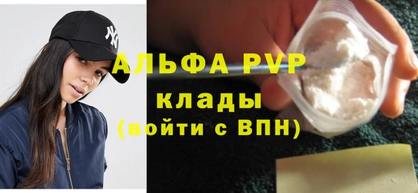 индика Верхний Тагил