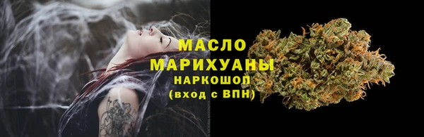 индика Верхний Тагил