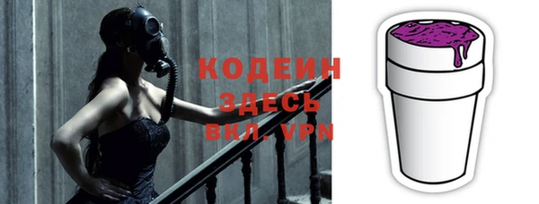 индика Верхний Тагил