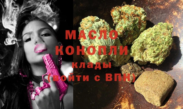 индика Верхний Тагил