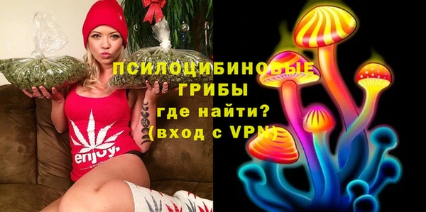 mdpv Богородск