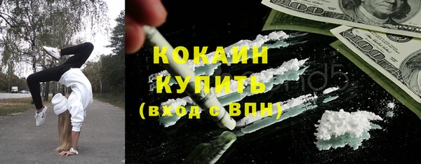 индика Верхний Тагил