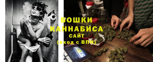 бутират Богданович