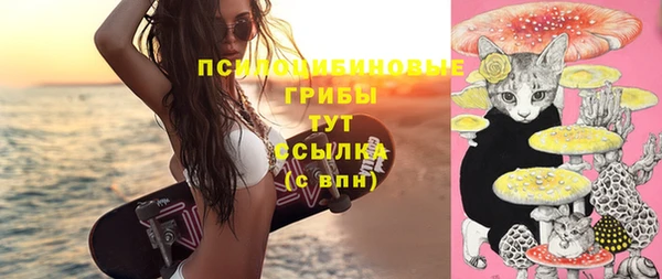 бутират Богданович
