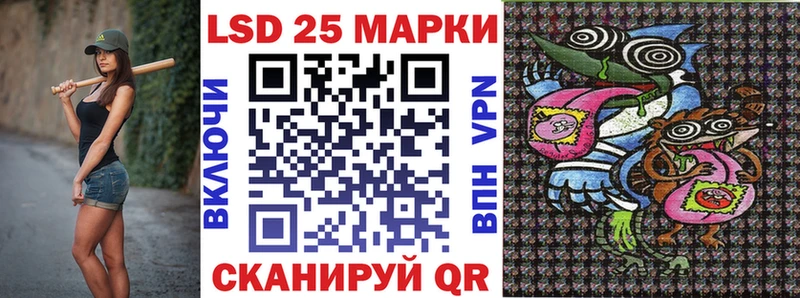 Купить закладки  Курчатов  Марки N-bome 1500мкг 