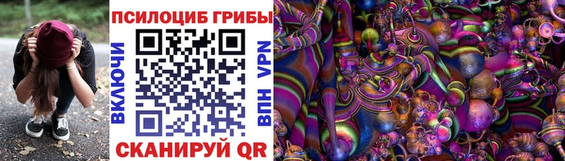 Галлюциногенные грибы GOLDEN TEACHER  Купить закладки  Курчатов 